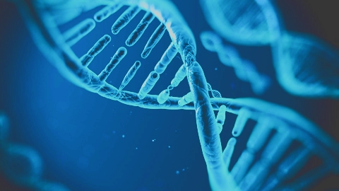 人体九大未解之谜——科学家也解释不来